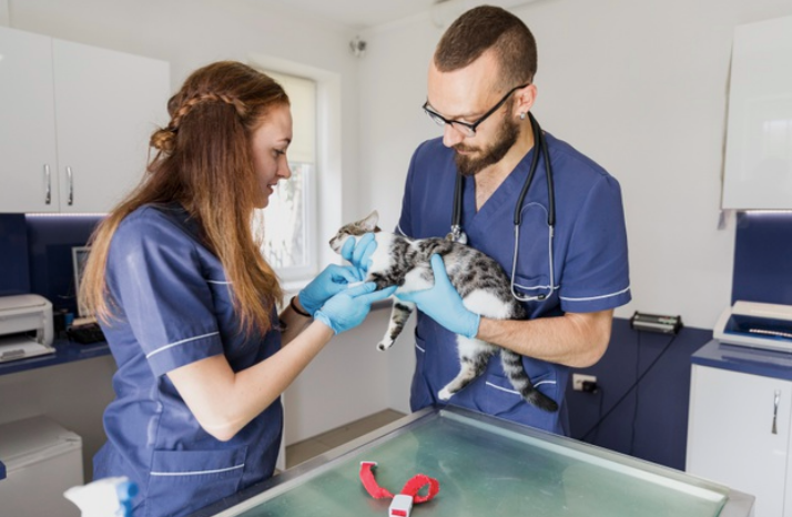 consulta en una veterinaria