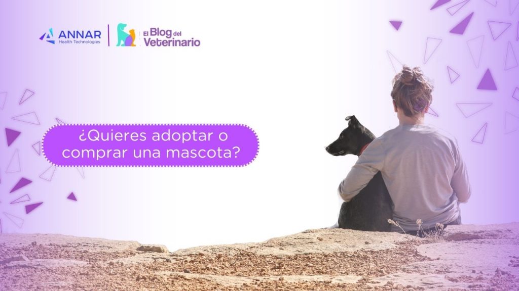 adopcion de mascotas