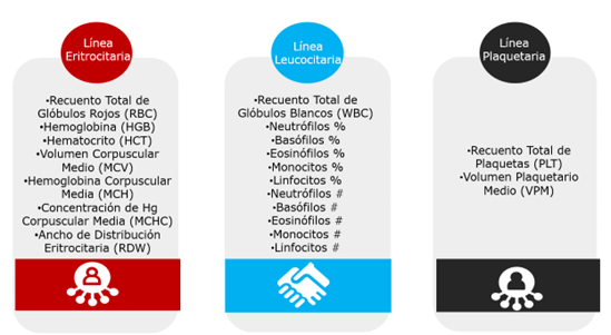 Parámetros obtenidos en un cuadro hemático